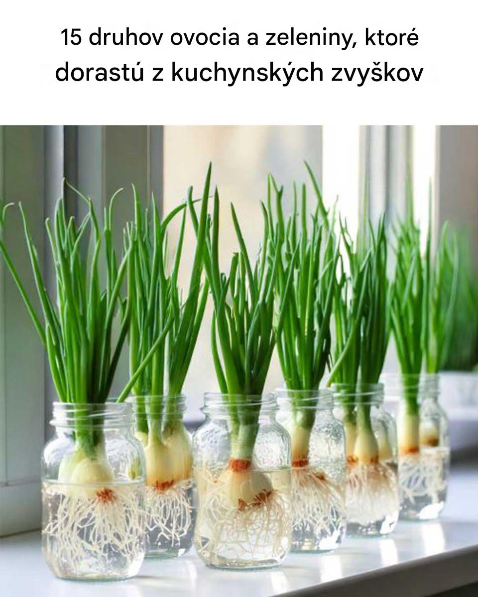 Toto je vážne úžasné