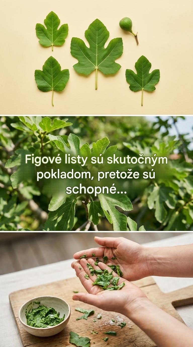 Figové listy, prirodzení spojenci pre trávenie, hladinu cukru v krvi a pohodu