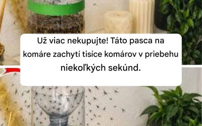Už viac nekupujte! Táto pasca na komáre zachytí tisíce komárov v priebehu niekoľkých sekúnd.