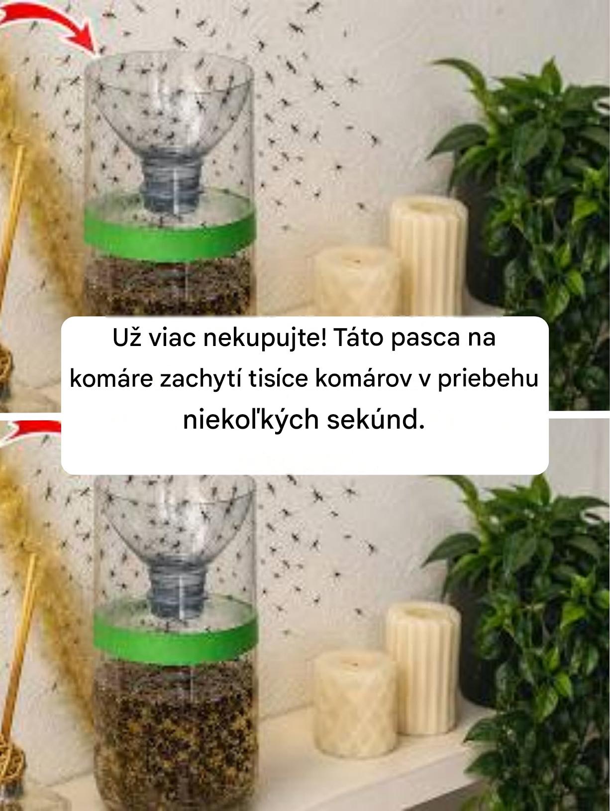 Už viac nekupujte! Táto pasca na komáre zachytí tisíce komárov v priebehu niekoľkých sekúnd.
