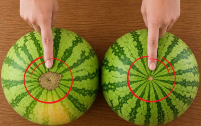 POZRITE SI TOTO MIESTO: Takto si vždy vyberiete sladký, šťavnatý a dokonale zrelý melón!