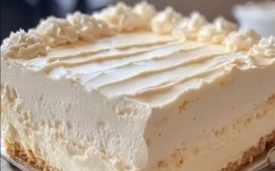 Cheesecake bez pečenia